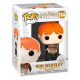 Harry Potter POP! Ron Puking Slugs w/Bucke #114